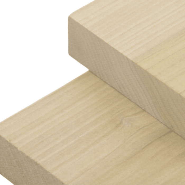 Poplar